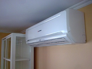 [����� ��������]