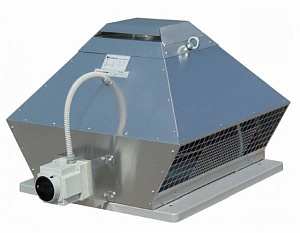 [����� ��������]