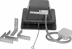 [����� ��������]