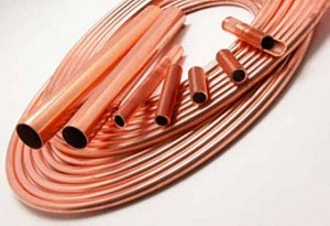 [����� ��������]