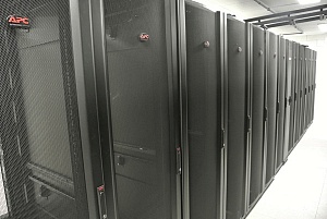 [����� ��������]